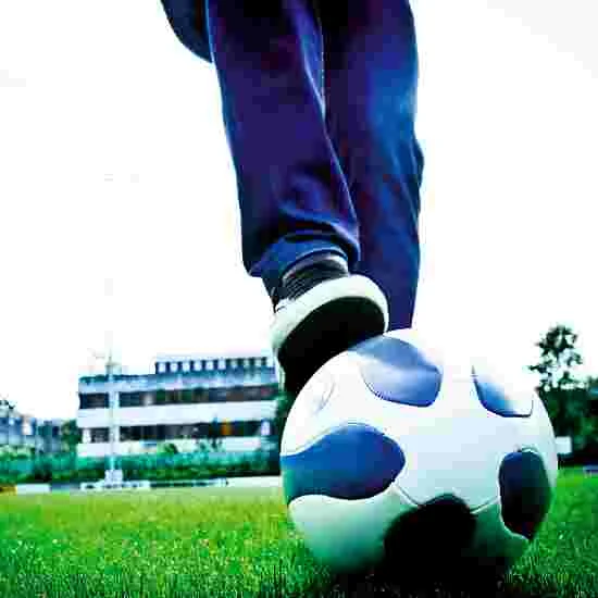 Theeggball "Classic" 4 Theeggball "Classic" - Image 2