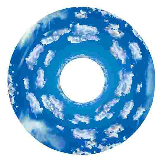 Sport-Thieme Effect Wheel 12 Sport-Thieme Effect Wheel - Image 10