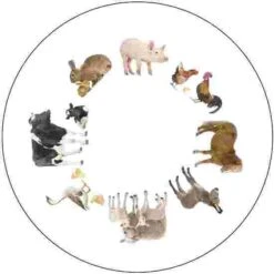 Activation Discs -Exercise Shop 192 3038