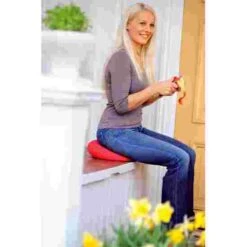 Sissel "Sitfit" Sitting Cushion 11 Sissel "Sitfit" Sitting Cushion -Exercise Shop 219 2505 2