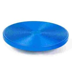 Sport-Thieme Therapy Disc -Exercise Shop 235 3409