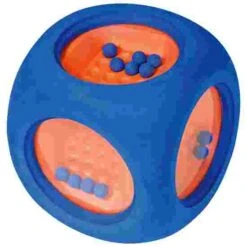 Wild Dice -Exercise Shop 255 8309