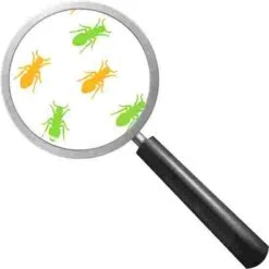 Beleduc "Illusion Wheel" Wall-Mounted Spinner -Exercise Shop 280 9609 1