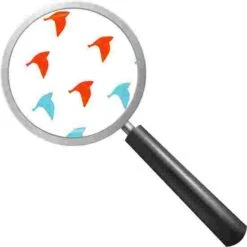 Beleduc "Illusion Wheel" Wall-Mounted Spinner -Exercise Shop 280 9625 1