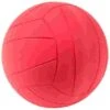 WV Goalball With Bell -Exercise Shop 285 4205 1